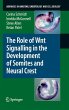 The Role of Wnt Signalling in the... - Bild 1