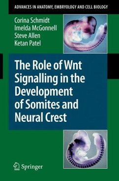 The Role of Wnt Signalling in the Development of Somites and Neural Crest (eBook, PDF) - Schmidt, Corina; McGonnell, Imelda; Allen, Steve; Patel, Ketan