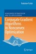 Conjugate Gradient Algorithms in... - Bild 1