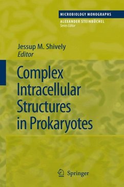 Complex Intracellular Structures in Prokaryotes (eBook, PDF)