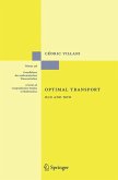 Optimal Transport (eBook, PDF)