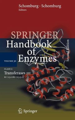 Cover Class 2 Transferases III (eBook, PDF)