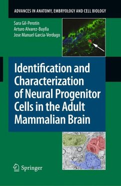Identification and Characterization of Neural Progenitor Cells in the Adult Mammalian Brain (eBook, PDF) - Gil-Perotín, Sara; Alvarez-Buylla, Arturo; Garcia-Verdugo, Jose Manuel