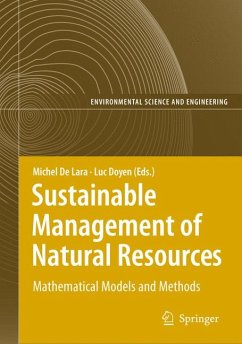 Information Technologies in Environmental Engineering (eBook, PDF)