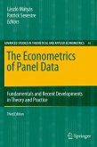 The Econometrics of Panel Data (eBook, PDF)