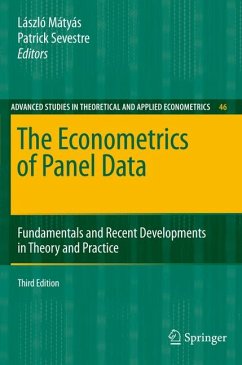 The Econometrics of Panel Data (eBook, PDF)