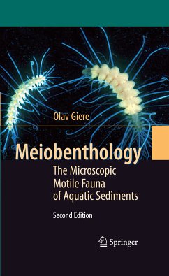 Meiobenthology (eBook, PDF) - Giere, Olav