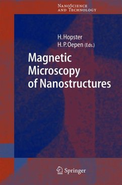 Magnetic Microscopy of Nanostructures (eBook, PDF)