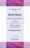 Shock Waves (eBook, PDF)