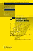 Multiplicative Invariant Theory (eBook, PDF)