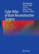 Color Atlas of Burn Reconstructive... - Bild 1