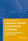 Energy Flows, Material Cycles and Global Development (eBook, PDF)