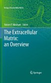 The Extracellular Matrix: an Overview (eBook, PDF)