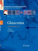 Glaucoma (eBook, PDF)