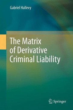 The Matrix of Derivative Criminal Liability (eBook, PDF) - Hallevy, Gabriel