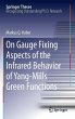 On Gauge Fixing Aspects of the Infrared... - Bild 1