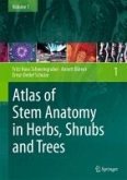 Atlas of Stem Anatomy in Herbs, Shrubs and Trees (eBook, PDF)