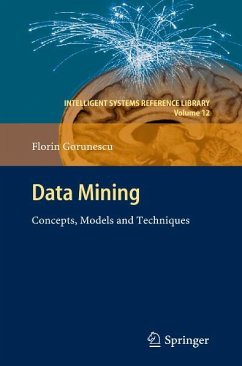 Data Mining (eBook, PDF) - Gorunescu, Florin