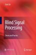 Blind Signal Processing (eBook, PDF) - Bild 1