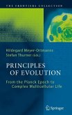 Principles of Evolution (eBook, PDF)