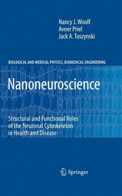 Nanoneuroscience (eBook, PDF) - Woolf, Nancy J.; Priel, Avner