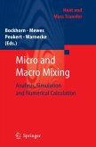 Micro and Macro Mixing (eBook, PDF)