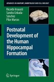 Postnatal Development of the Human Hippocampal Formation (eBook, PDF)