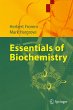 Essentials of Biochemistry (eBook, PDF) - Bild 1