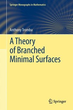 A Theory of Branched Minimal Surfaces (eBook, PDF) - Tromba, Anthony