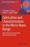 Fabrication and Characterization in the Micro-Nano Range (eBook, PDF)