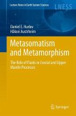 Metasomatism and the Chemical Transformation of Rock (eBook, PDF)