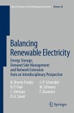 Balancing Renewable Electricity (eBook, PDF)