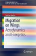 Migration on Wings (eBook, PDF) - Bild 1