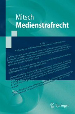 Medienstrafrecht (eBook, PDF) - Mitsch, Wolfgang