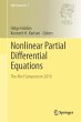 Nonlinear Partial Differential... - Bild 1