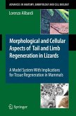 Morphological and Cellular Aspects of Tail and Limb Regeneration in Lizards (eBook, PDF)