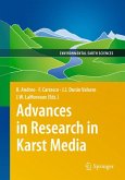 Advances in Research in Karst Media (eBook, PDF)