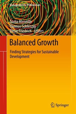 Cover Balanced Growth (eBook, PDF)