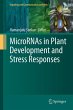 MicroRNAs in Plant Development and... - Bild 1