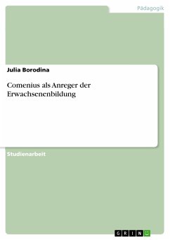 Comenius als Anreger der Erwachsenenbildung (eBook, PDF) - Borodina, Julia