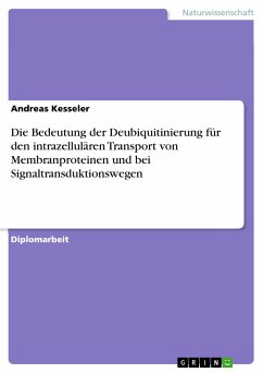 Die Bedeutung der Deubiquitinierung für den intrazellulären Transport von Membranproteinen und bei Signaltransduktionswegen (eBook, PDF)