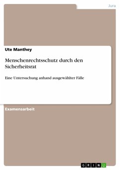 Menschenrechtsschutz durch den Sicherheitsrat (eBook, PDF)