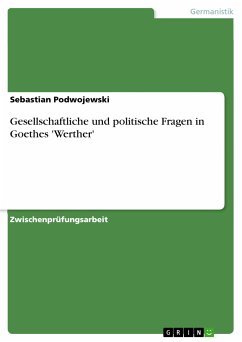 Gesellschaftliche und politische Fragen in Goethes 'Werther' (eBook, PDF) - Podwojewski, Sebastian