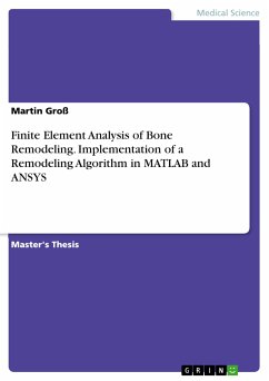 Finite Element Analysis of Bone Remodeling. Implementation of a Remodeling Algorithm in MATLAB and ANSYS (eBook, PDF) - Groß, Martin