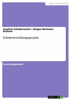 Schulentwicklungsprojekt (eBook, ePUB)