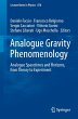 Analogue Gravity Phenomenology - Bild 1
