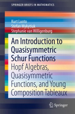 An Introduction to Quasisymmetric Schur Functions - Luoto, Kurt;Mykytiuk, Stefan;Van Willigenburg, Stephanie