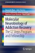Molecular Neurobiology of Addiction... - Bild 1