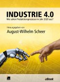 Industrie 4.0 (eBook, ePUB)