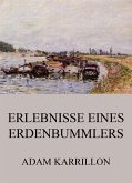 Erlebnisse eines Erdenbummlers (eBook, ePUB)